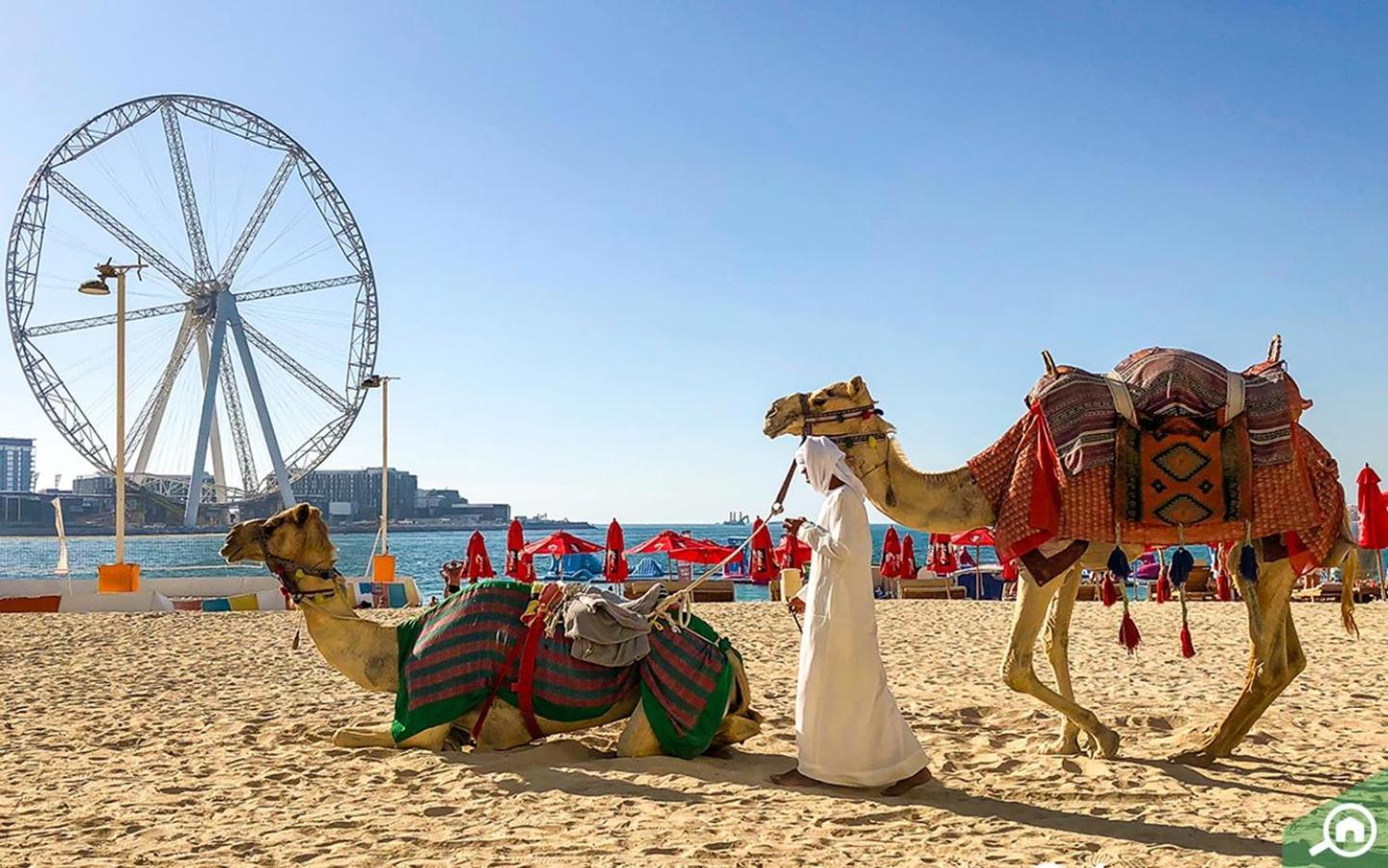Murjan Jbr Apartments By Happy Season ドバイ エクステリア 写真